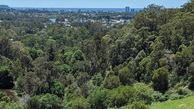 Views of coastline from the Currumbin Eco-Parkland.