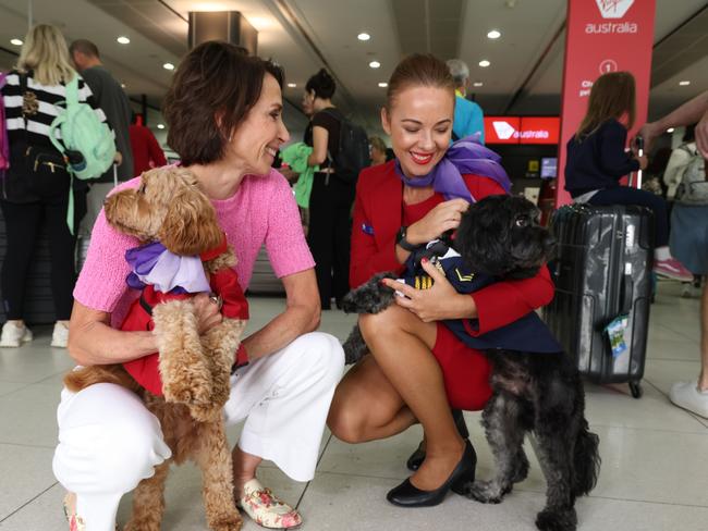 Virgin Australia Group CEO, Jayne Hrdlicka (L) at Melbourne Airport, after announcing  plans to be the first Australian airline to offer pets onboard flights.. Picture: Alex Coppel.