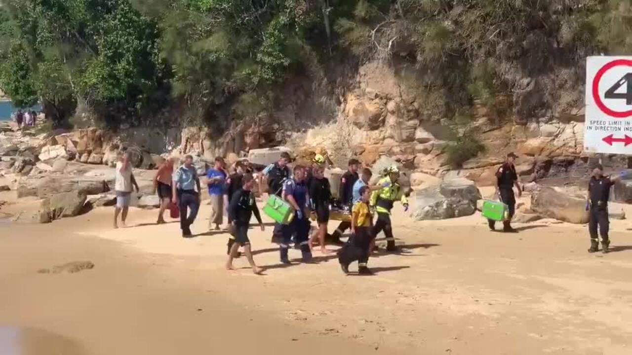 Woman Attacked by Shark Near Sydney Treated for 'Serious Leg Injuries'