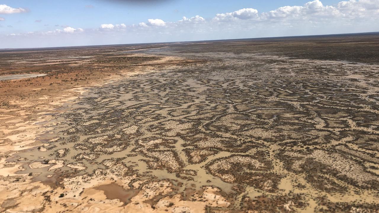 S. Kidman &amp; Co station property near Roma. Photo: Supplied