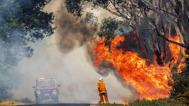 St Marys TFS Volunteer during back burning operations at Fingal. Picture: CHRIS KIDD