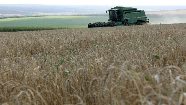 Wheat farms have benefited from a combination of good rains along with the disruption of global food supply following Russia’s invasion of Ukraine. Picture: AFP