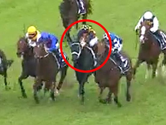 King Of Florida (circled) can improve markedly off his Australian debut at Rosehill on June 29.