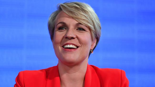 Tanya Plibersek at the National Press Club in Canberra. Picture: AAP