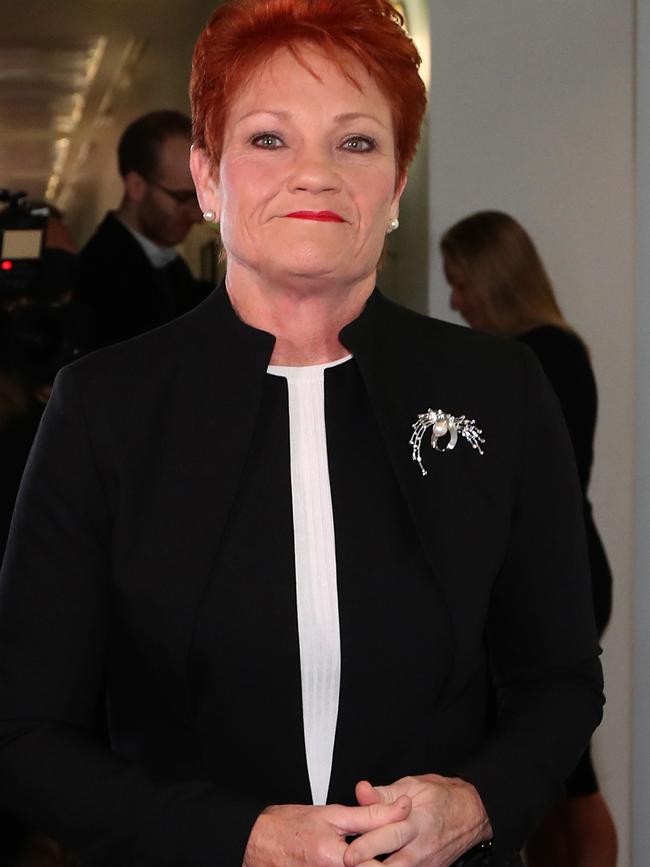 One Nation’s Pauline Hanson has demanded action.