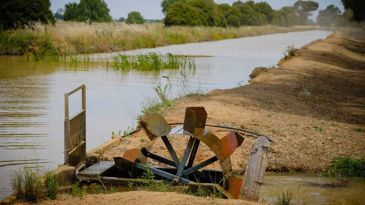 We will 'rip up' Murray Darling Basin Plan: Barilaro