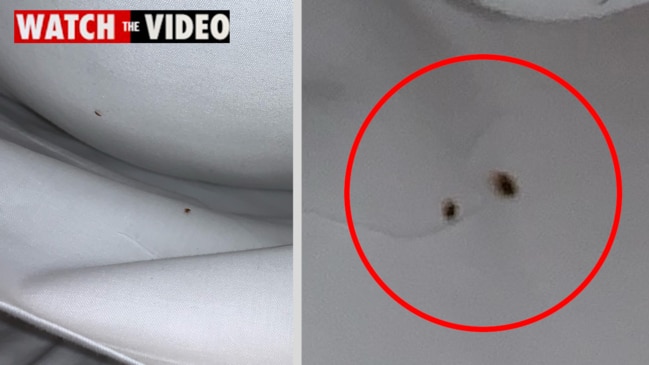 Victorian bed bug infested hotel room