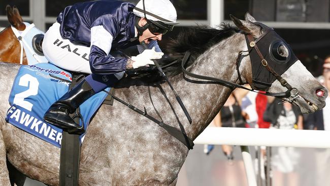 Fawkner (Nick Hall) in the Cox Plate.