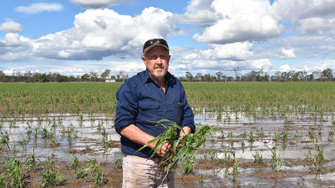 Doug Wunsch lost a $250,000 barley crop during the Jandowae storm 9/10/24