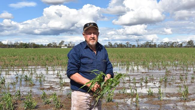 Doug Wunsch lost a $250,000 barley crop during the Jandowae storm 9/10/24