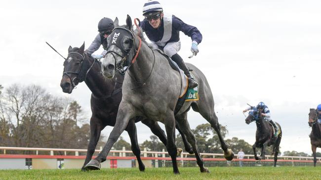 The Mick Kent-trained Bluestone could go around over the odds when he steps up to 2400m at Saturday’s Caulfield meeting. Picture: Racing Photos via Getty Images