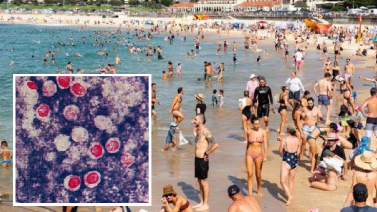 Aussies warned over menacing beach parasite