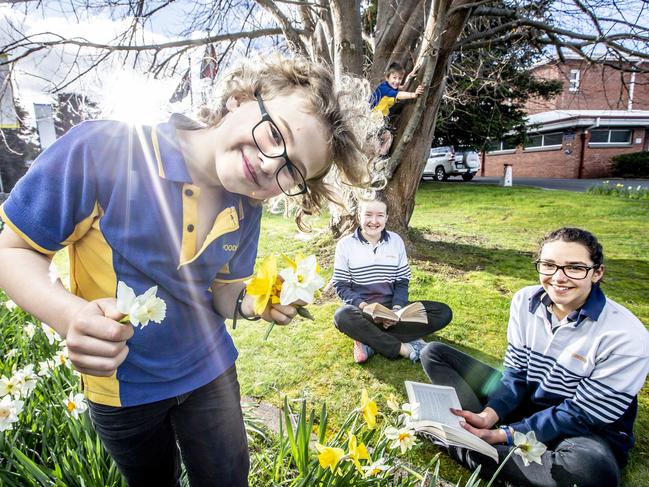 Woodbridge School students, from left, Louis Annear, Carter Morgan (in tree), Bridget Littman and Reese Thomas. Picture: EDDIE SAFARIK