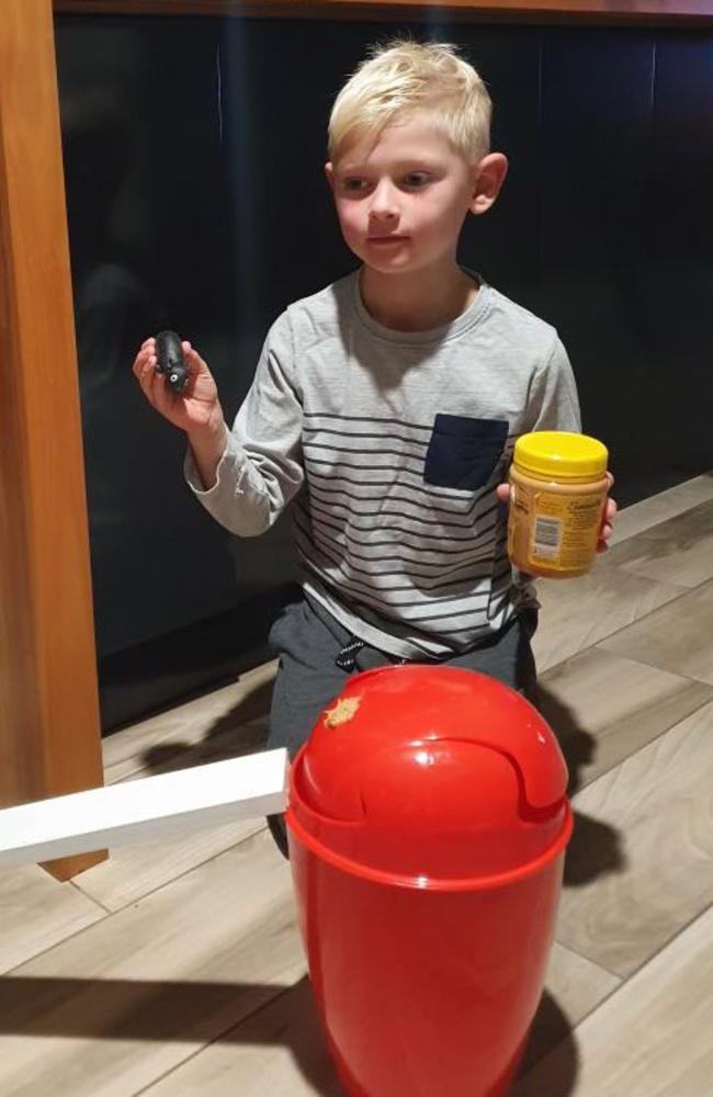 Taj Fitzgibbon of Tamworth demonstrates his homemade mouse trap using a plastic kitchen bin and peanut butter as bait.