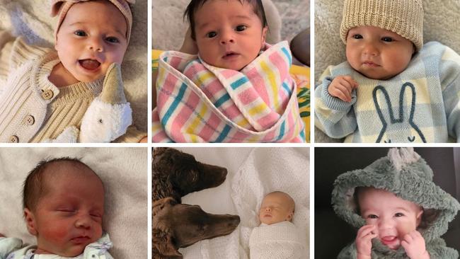 Six of the babies leading SA's cutest winter baby competition. Pictures: Supplied