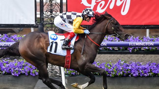 John Sargent is deploying Perfect Thought in Brisbane on Saturday as he looks to recapture form. Picture: Racing Photos via Getty Images.