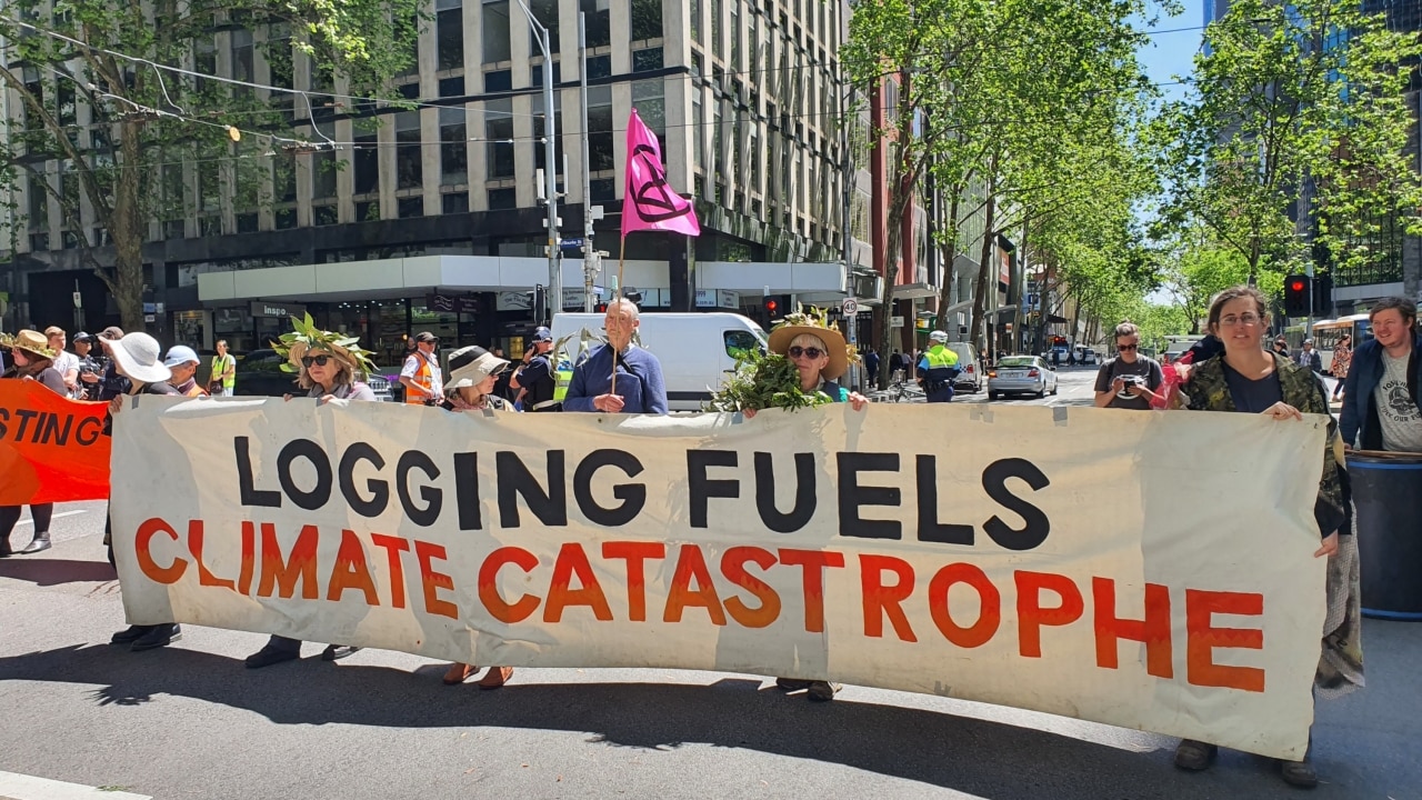 Ex-Liberal MP Nicolle Flint unleashes on Extinction Rebellion’s ...