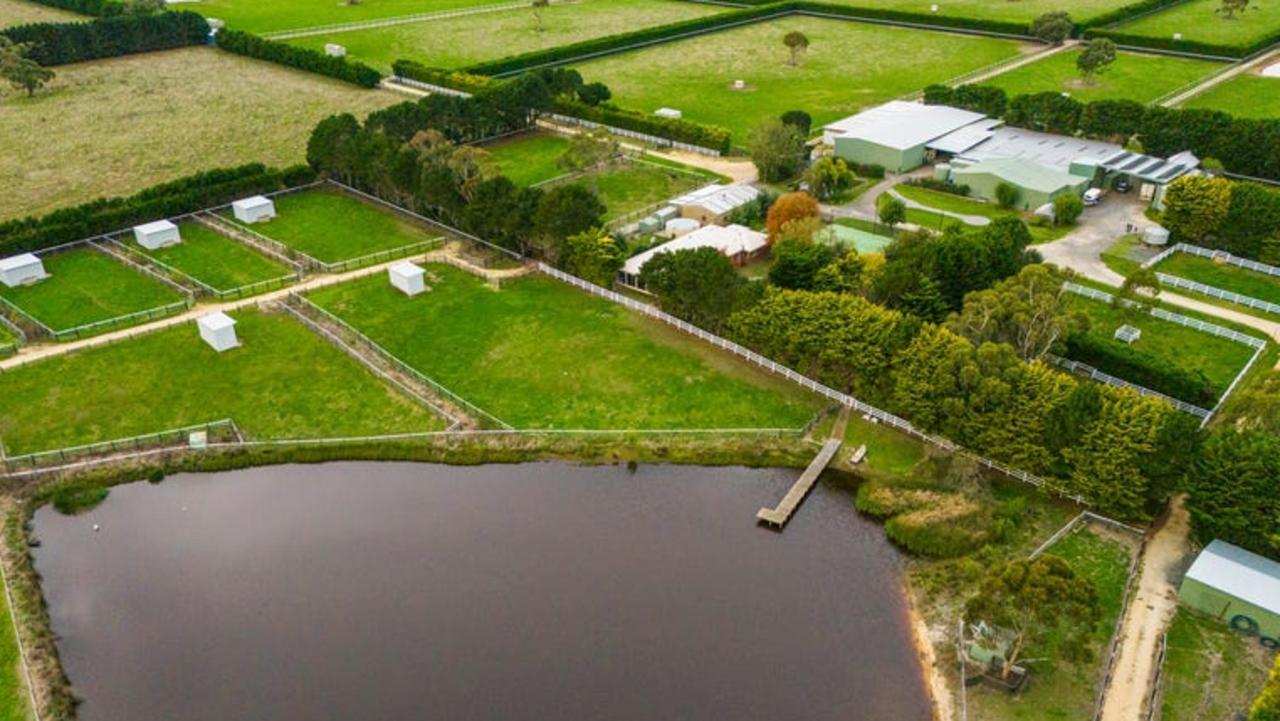 Darren and Elizabeth Dance have produced champion thoroughbred horses at the farm for more than 15 years.