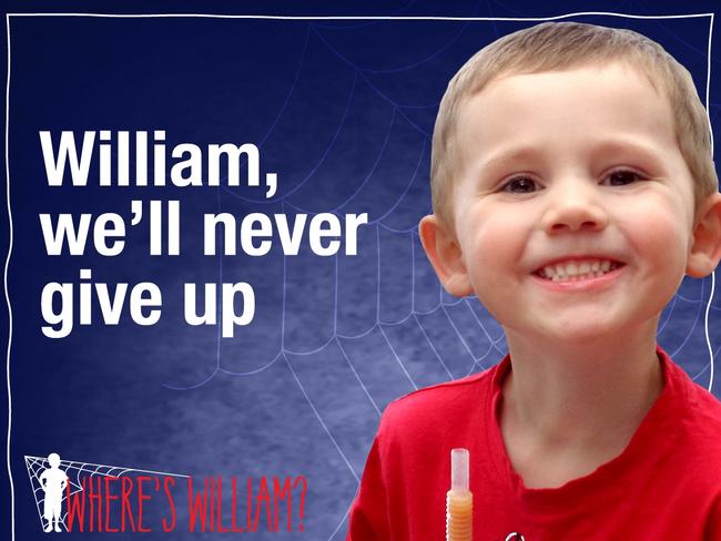 William Tyrrell fifth year poster. Supplied