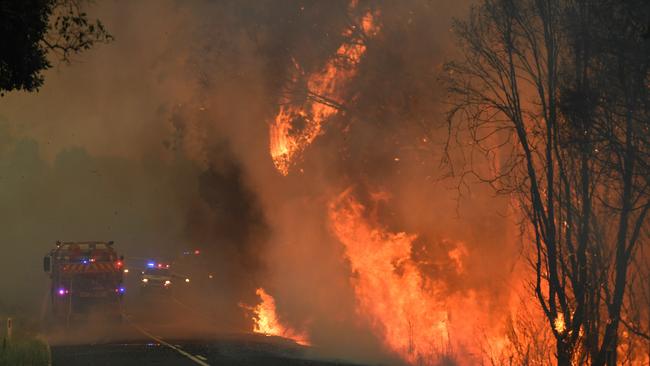 Fire crews tend to a bushfire in Nana Glen, near Coffs Harbour, Tuesday, November 12, 2019. There are more than 50 fires burning around the state, with about half of those uncontained. (AAP Image/Dan Peled) NO ARCHIVING