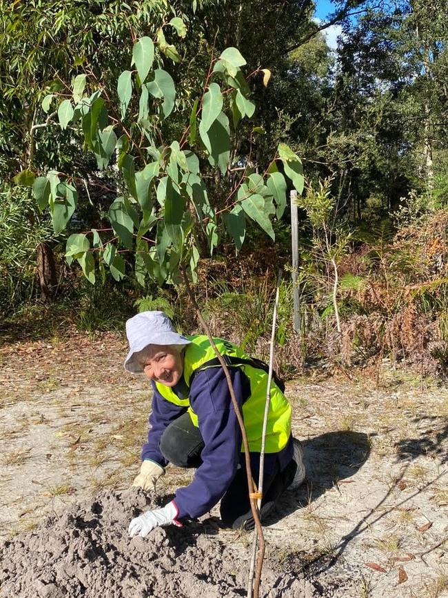 Pauline Eltoft – Lemon Tree Passage Parks Reserves and Landcare Group volunteer. Supplied.