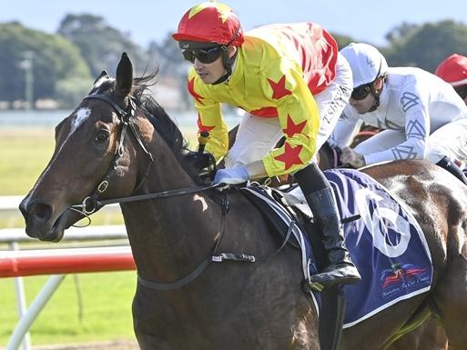 California Sunrise, pictured winning at Hawkesbury in May, looks hard to beat in the first race at Wyong on Saturday. Picture: Bradley Photos