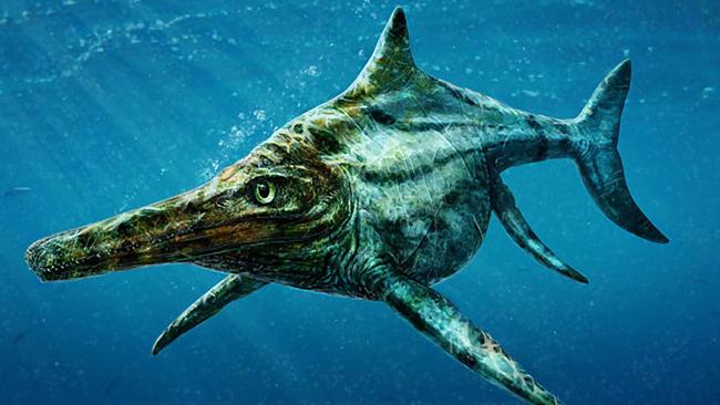 Scientists described the ichthyosaur as a reptile version of a dolphin. Dearcmhara shawcrossi. Artist: Todd Marshall/ PA