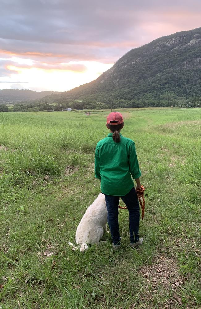 Mount Jukes Family Farm is expanding its food truck into a full Italian agritourism experience just half an hour from Mackay. Photo: Contributed