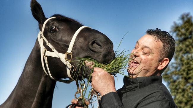 Former horse trainer Tommy Hughes Jnr is facing serious charges. Picture: Colleen Petch