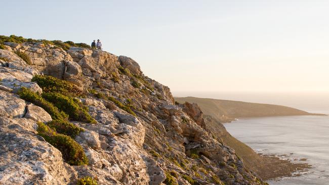 The Kangaroo Island Wilderness Trail in Flinders Chase National Park. Picture: DEWNR