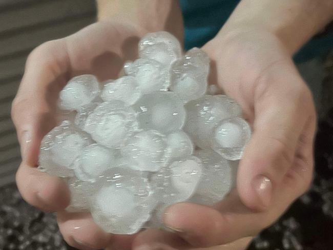 Hail stones which caused damage to crops near Horsham.