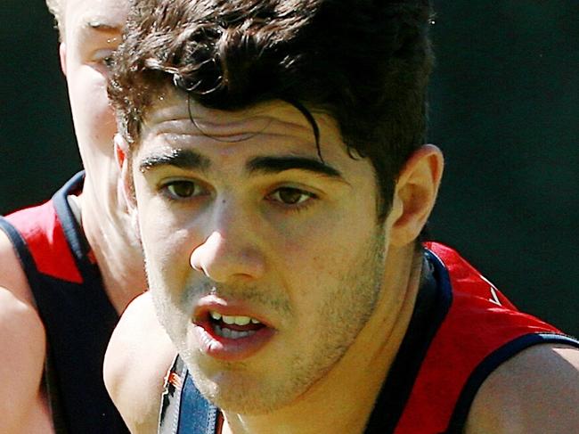 Melbourne training at Gosch's Paddock, Christian Petracca at training . 12th December 2014. Picture: Colleen Petch