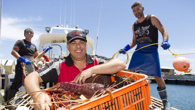 Western rock lobster fisherman Nino Paratore with his catch and crew members Levi Deboni, left, and Tony Cangemi in Fremantle harbour. Picture: Marie Nirme