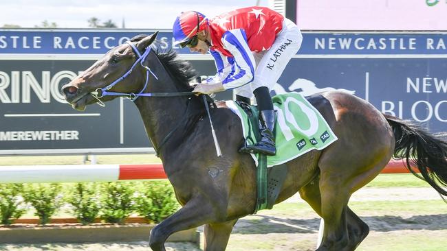 Consistent gelding War Ribbon can kick off his campaign with a win at Wyong. Picture: Bradley Photos