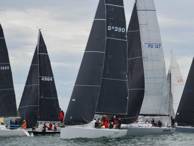 The 31-strong fleet at the start of the event.