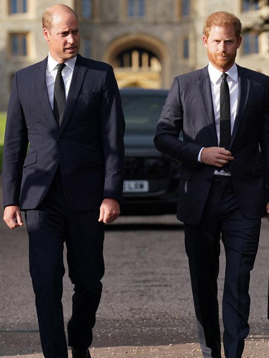 Together again: Prince William, Prince of Wales and Prince Harry, Duke of Sussex on the long Walk at Windsor Castle.