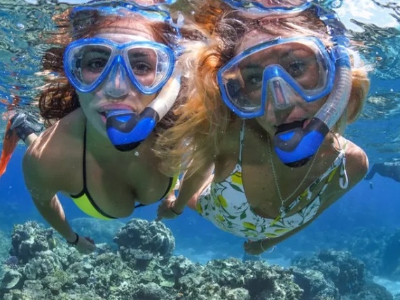 Now's your chance to snorkel in the Great Barrier Reef.