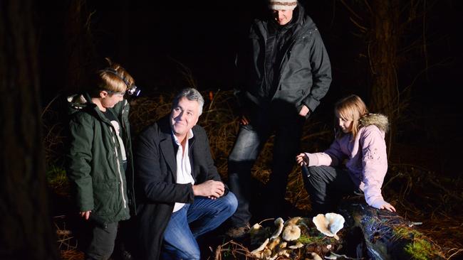 Archie Thomas, Ockert Le Roux, ForestrySA Conservation Planner Troy Horn, Ashlyn Horn gathered around the ghost mushroom Omphalotus nidiformis that glows after dark. Picture: Laura Thomas