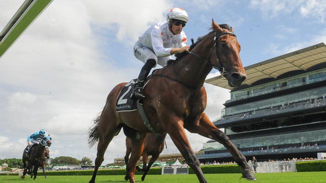 Golden Slipper winner Farnan will spearhead Gai Waterhouse’s spring carnival team. Picture: AAP