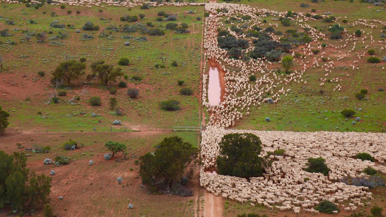 Australia’s largest sheep station sells to offshore-backed CPC