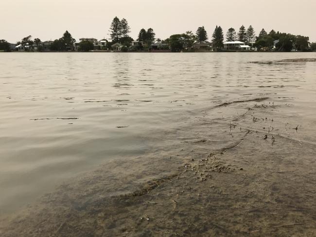  Terrigal Lagoon is regularly rated very poor in water quality testing.