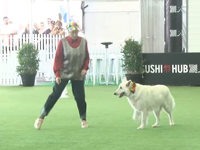 A woman and her dog dance together during the Ekka's 'dances with dogs judging' on Sunday.