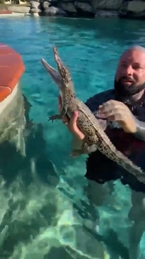 Kids find crocodile in swimming pool