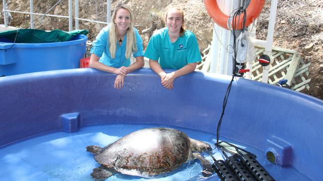 Amanda French and Madison Hellwege with the Intensive Care tanks at the Quoin Island Turtle Rehabilitation Centre. Picture: Rodney Stevens