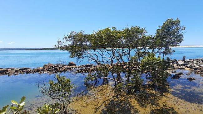 Urunga Boardwalk snapped by Jenny Ellem.