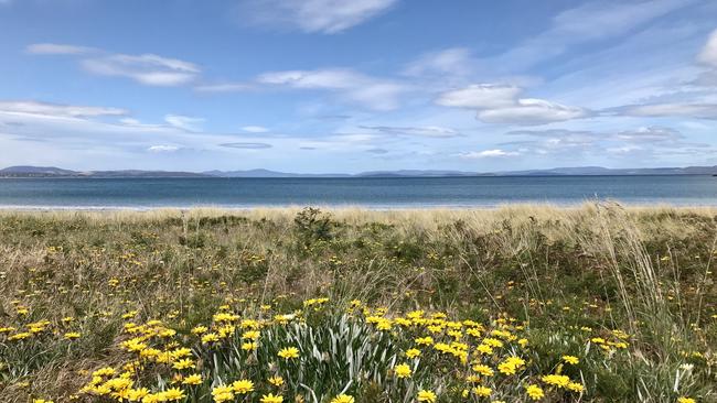 A daisy-lined Seven-mile beach in Tasmania, Australia. Picture: Rae Wilson