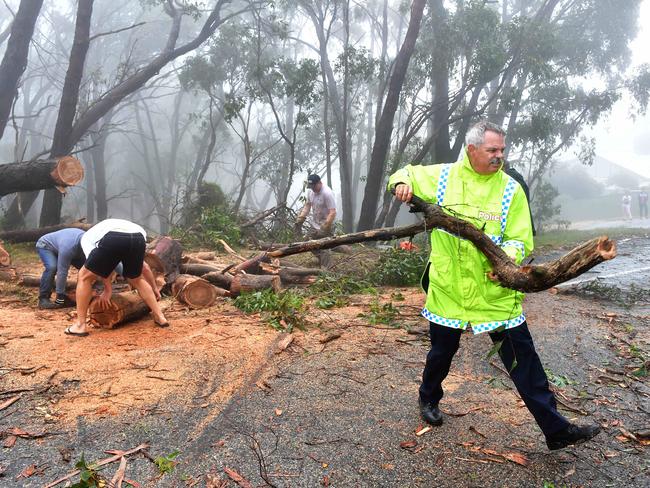 SES volunteers and residents clear a large gum tree that fell and blocked Charlick Road at Crafers West. Picture Mark Brake