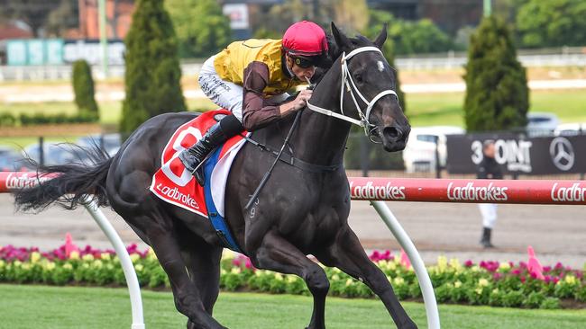 Foxy Cleopatra is highly rated by bookmakers in early betting on Saturday’s Group 3 TS Carlyon Cup at Caulfield. Picture: Racing Photos via Getty Images