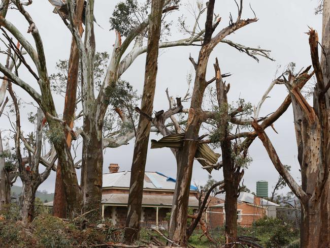 Storm damage north of Melrose in the Flinders Ranges. Picture: Dylan Coker