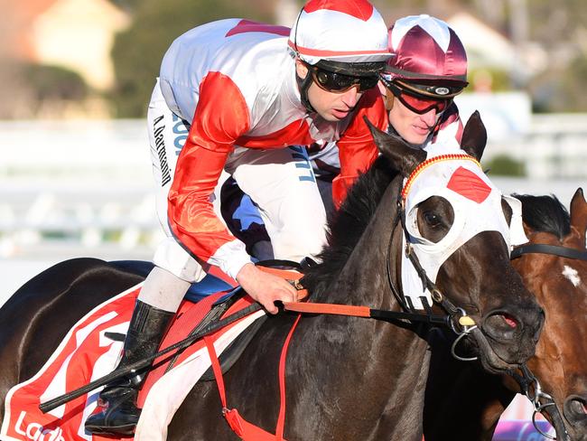 Jockey Anthony Darmanin rides Mystic Journey to win race 8, the P.B. Lawrence Stakes, during the P.B. Lawrence Stakes Day at Caulfield Racecourse in Melbourne, Saturday, August 17, 2019. (AAP Image/Vince Caligiuri) NO ARCHIVING, EDITORIAL USE ONLY